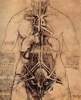 Leonardo_da_Vinci_Anatomie.jpg